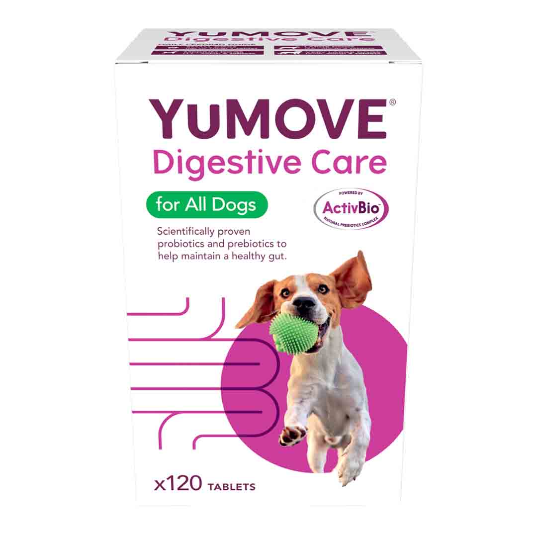 YuMOVE Digestive Care for All Dogs 120 Pack