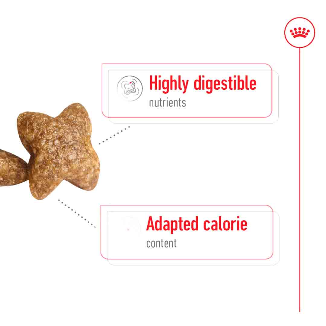 Royal Canin Dry Dog Food Mini Adult 2kg
