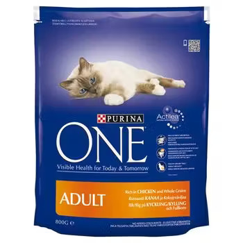 Purina ONE Adult Rich in Chicken and Whole Grains 6kg