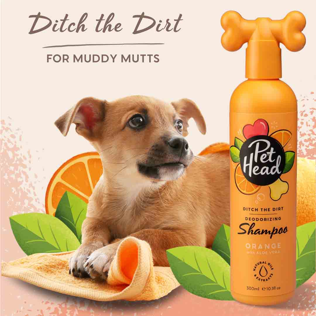 Pet Head Ditch the Dirt Dog Grooming Shampoo 300ml