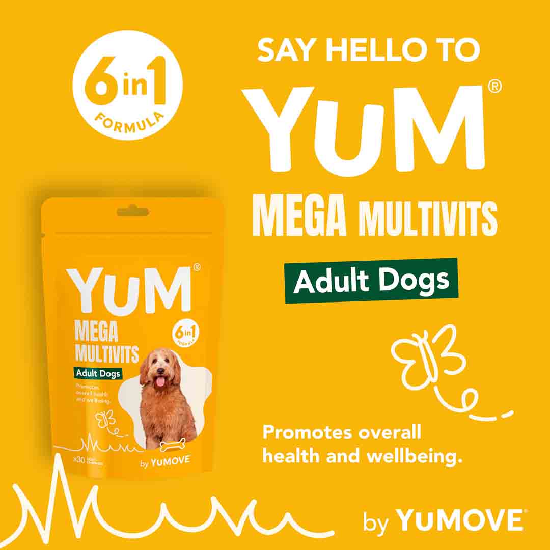 YuCARE Mega MultiVits Supplement for Adult Dogs