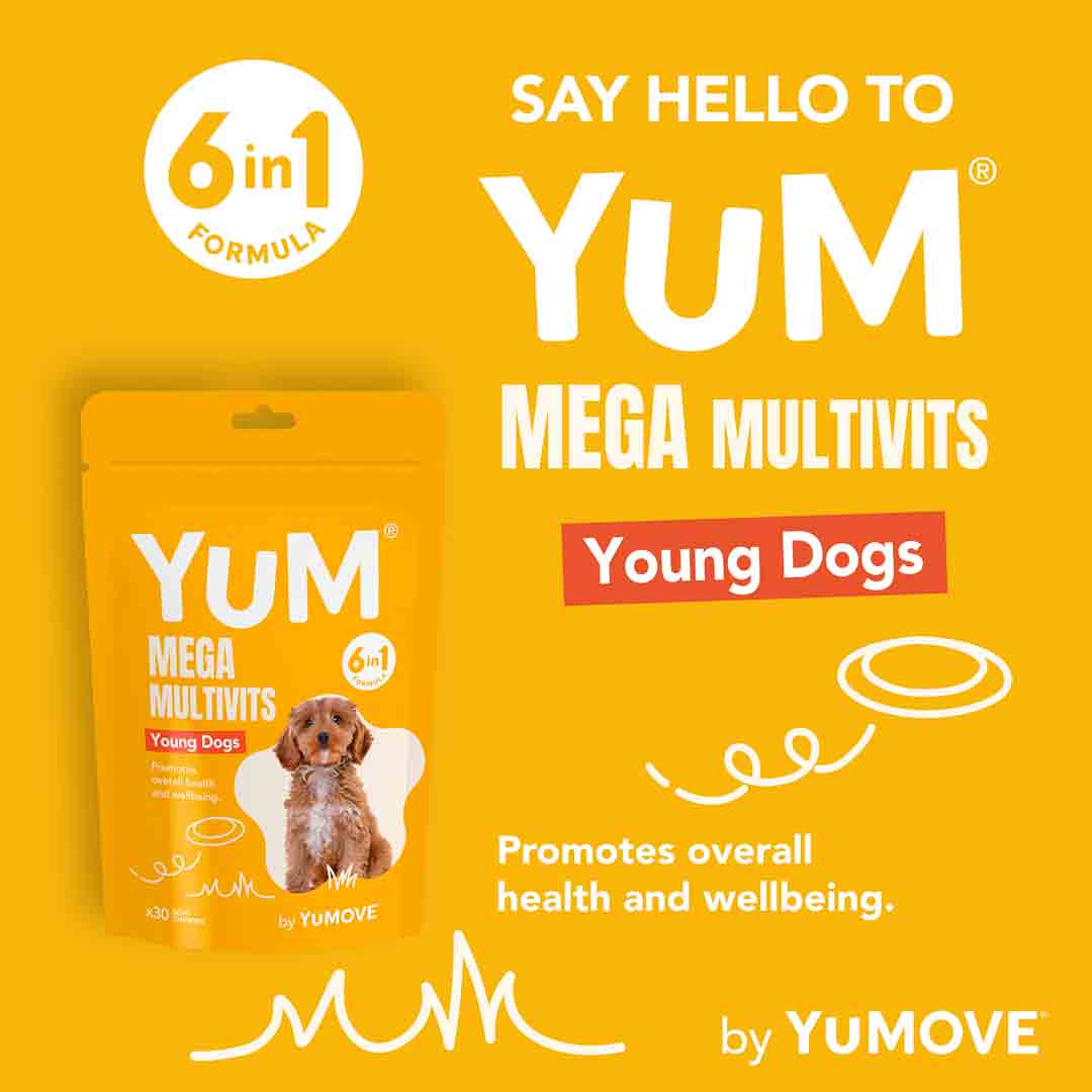 YuCARE Mega MultiVits Supplement for Young Dogs 