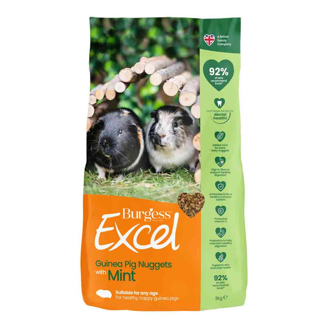 Excel Guinea Pig Nuggets with Mint, 3kg