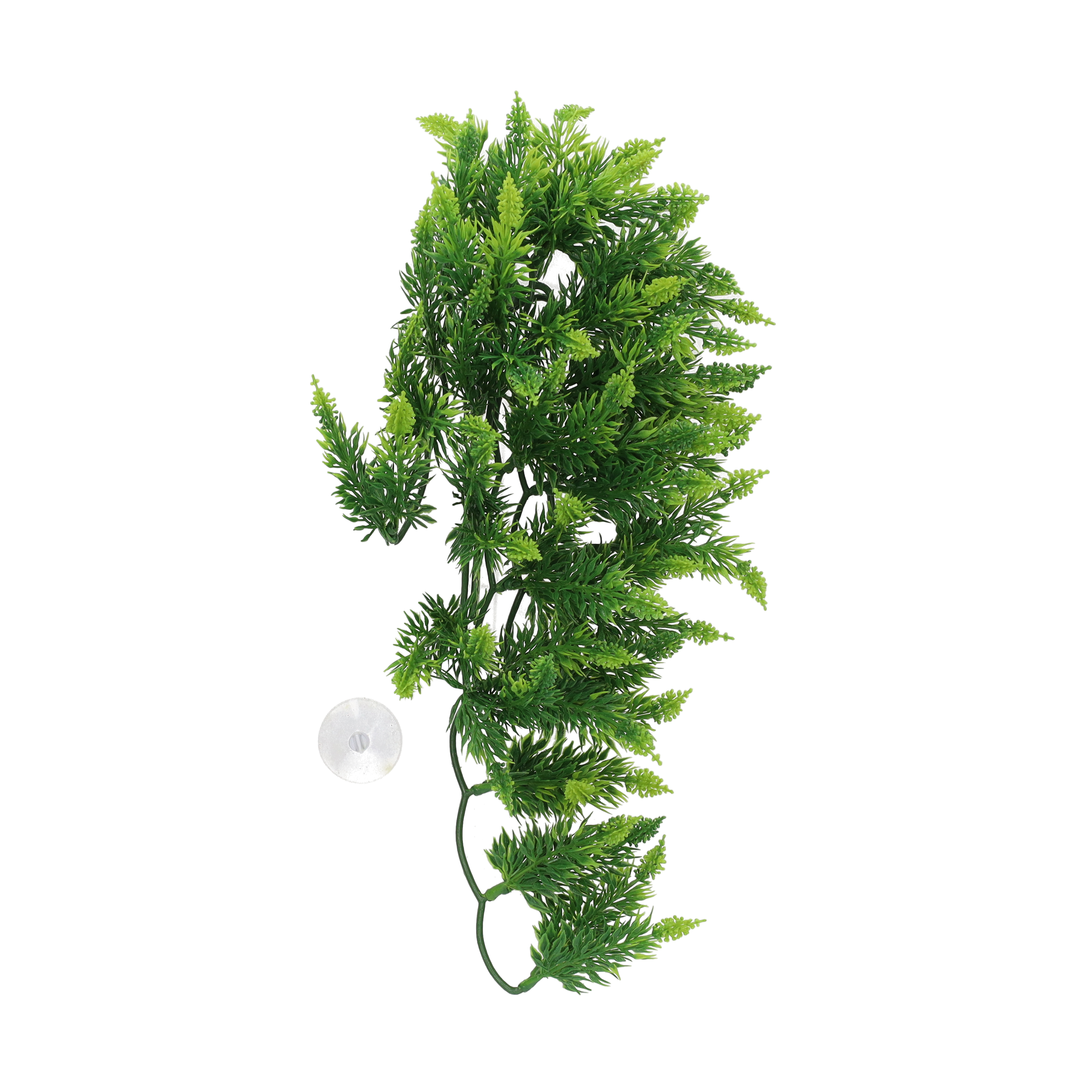 Zoo Med Malaysian Fern Reptile Viv-Clean