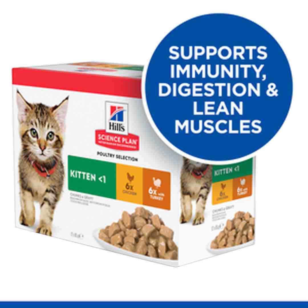 Hill's Science Plan Kitten Wet Food Multipack Chicken & Turkey Flavour 12 x 85g