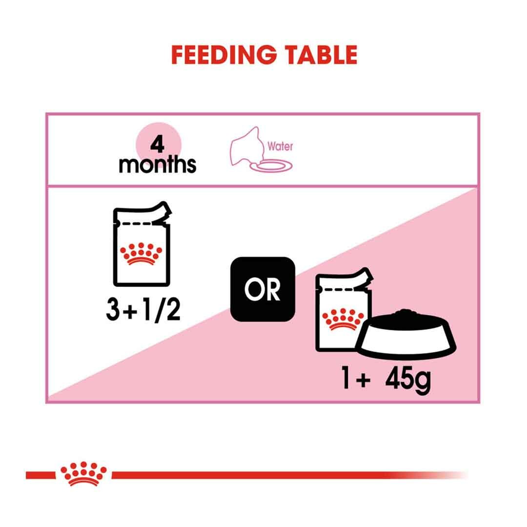 Royal Canin Kitten Instinctive in Jelly Wet Cat Food 12x85g