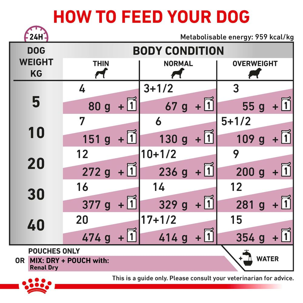 Royal Canin Renal Adult Wet Dog Food Thin Slices In Gravy 48x100g