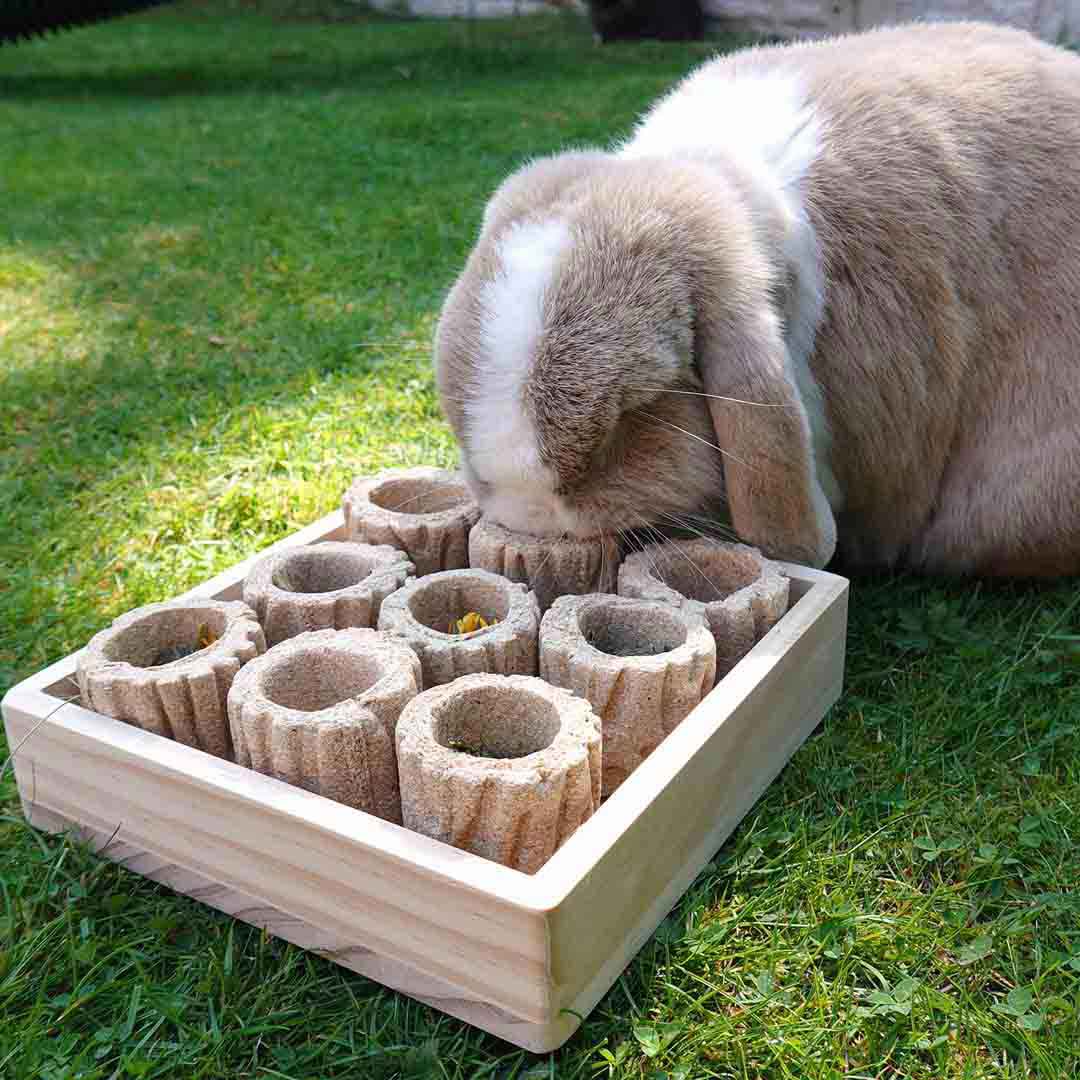 Rosewood Hide N Treat Forage Tray, Rabbit Toy