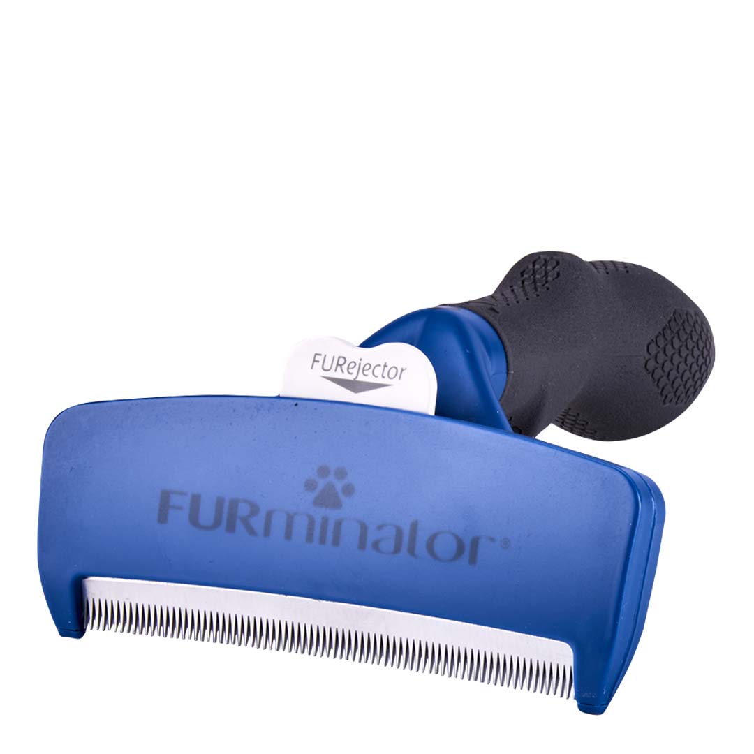 FURminator for Dogs with Short Hair - Large