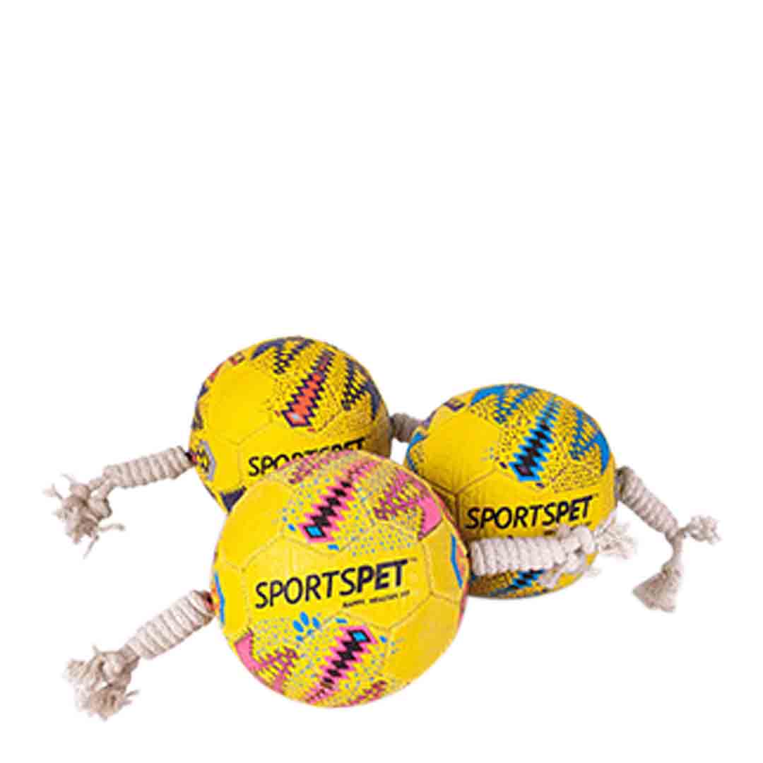 SportsPet Football with Rope Dog Toy, Small