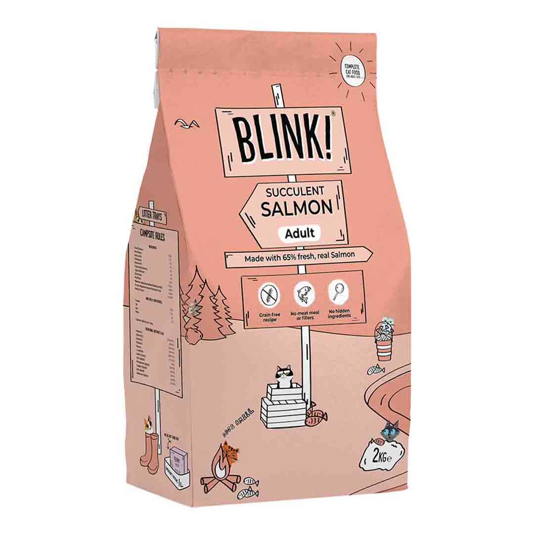 Blink Dry Cat Food Salmon 2kg