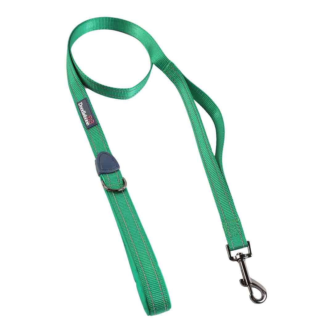 Doodlebone Trendy Tails Control Dog Lead Green 20mm 