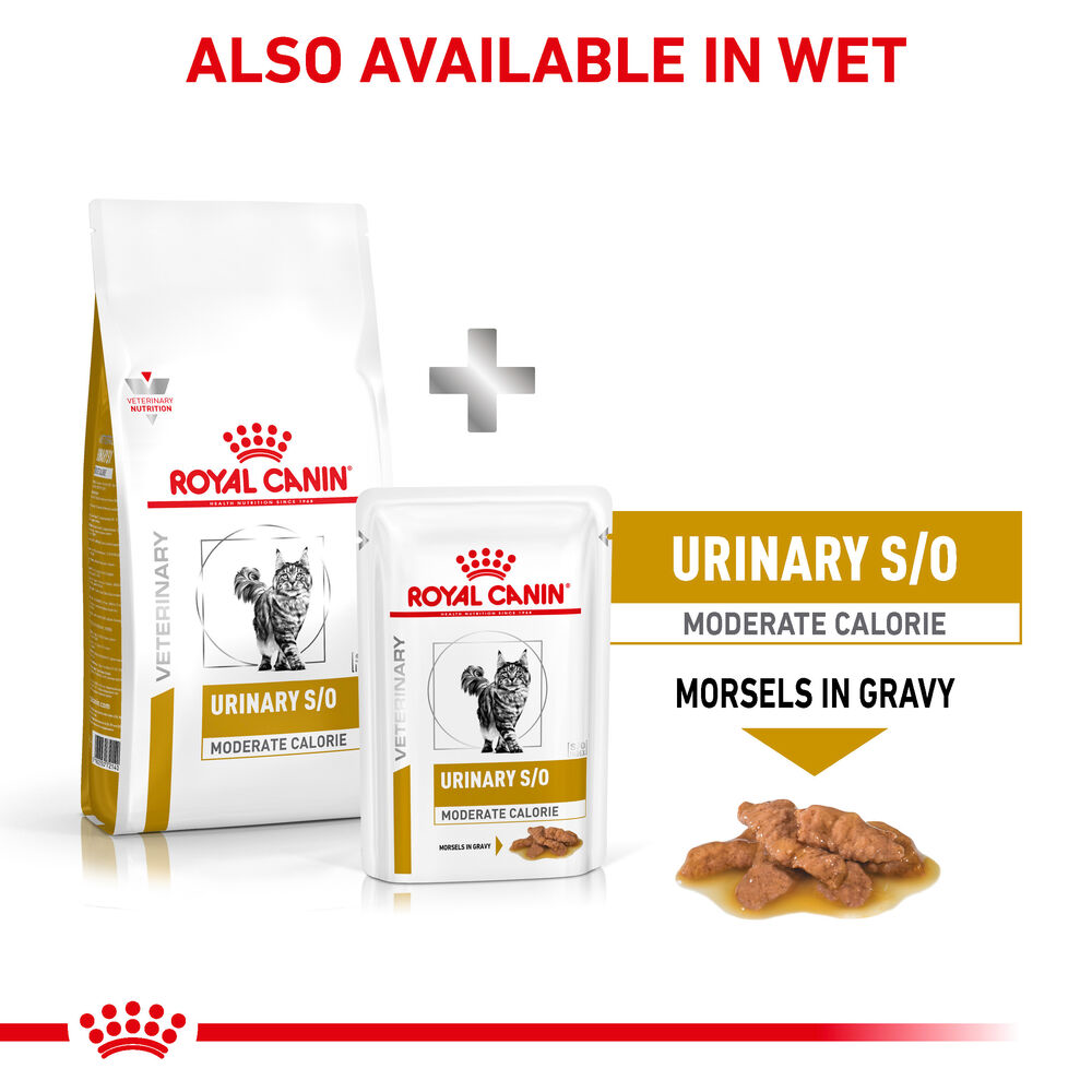 Royal Canin Urinary S/O Moderate Calorie Adult Dry Cat Food 7kg