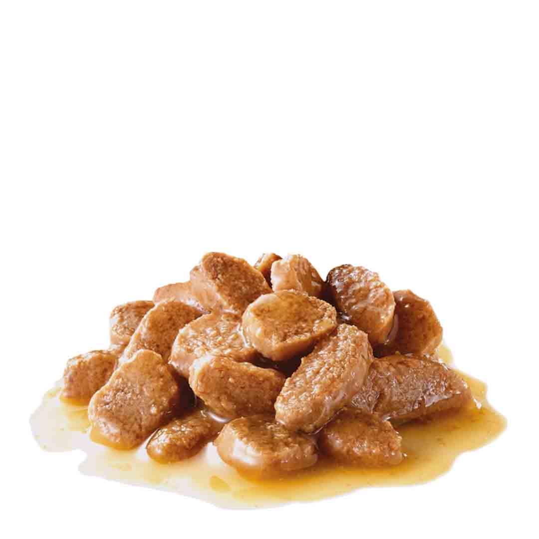 Royal Canin Wet Dog Food Mini Adult in Gravy 85g