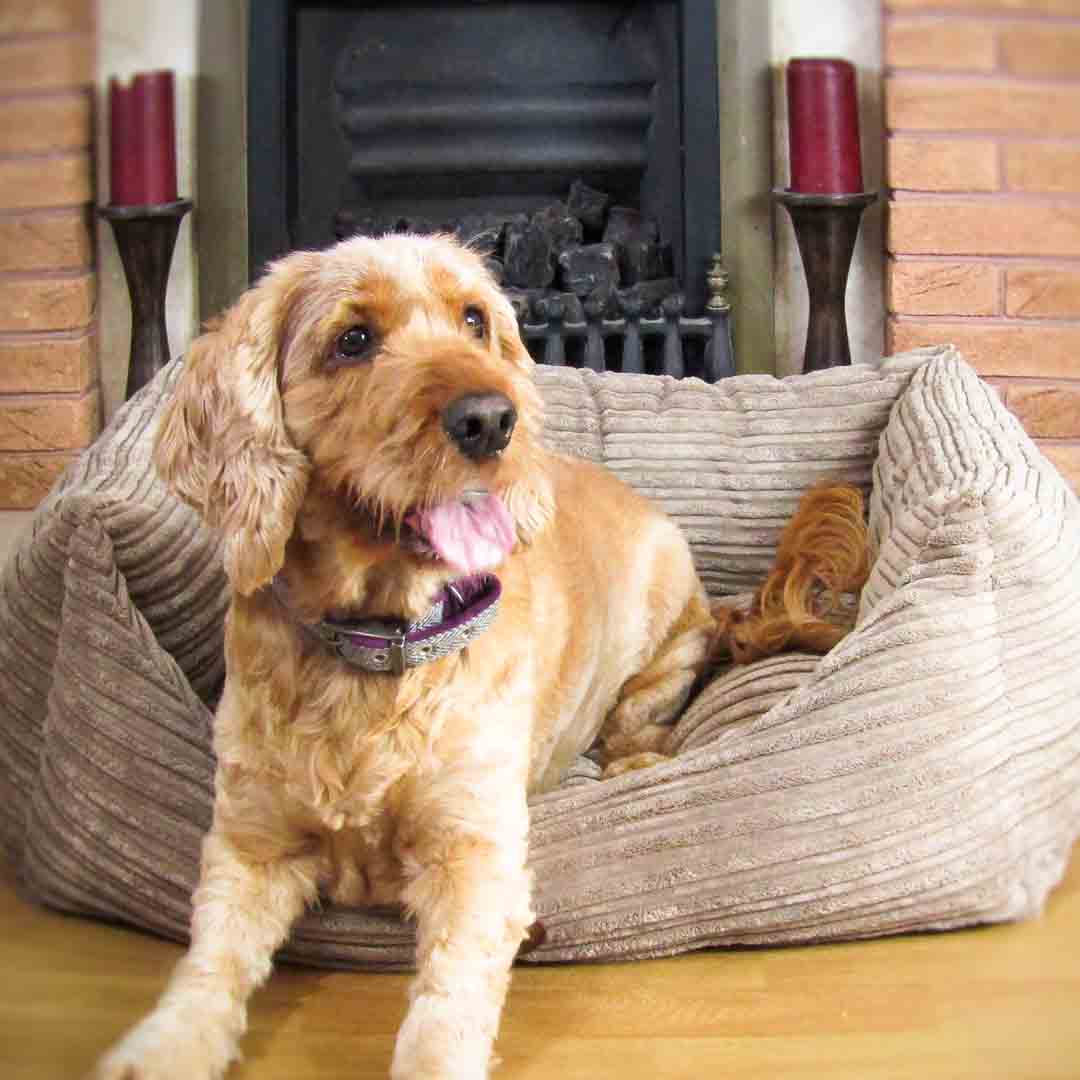Snug & Cosy San Remo Dog Bed, XX-Large