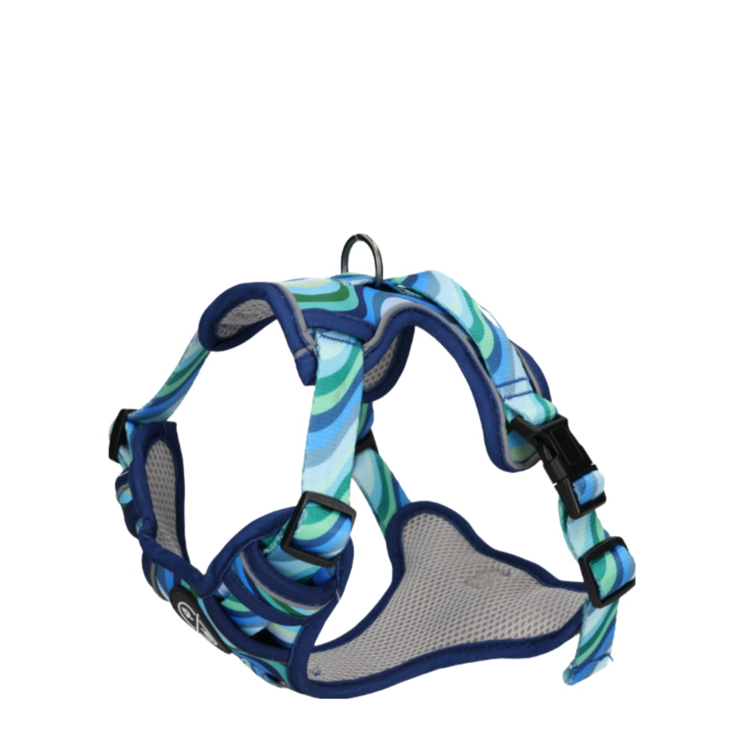Rufus & Rosie Dog Harness & Lead Set Blue Wave, Small