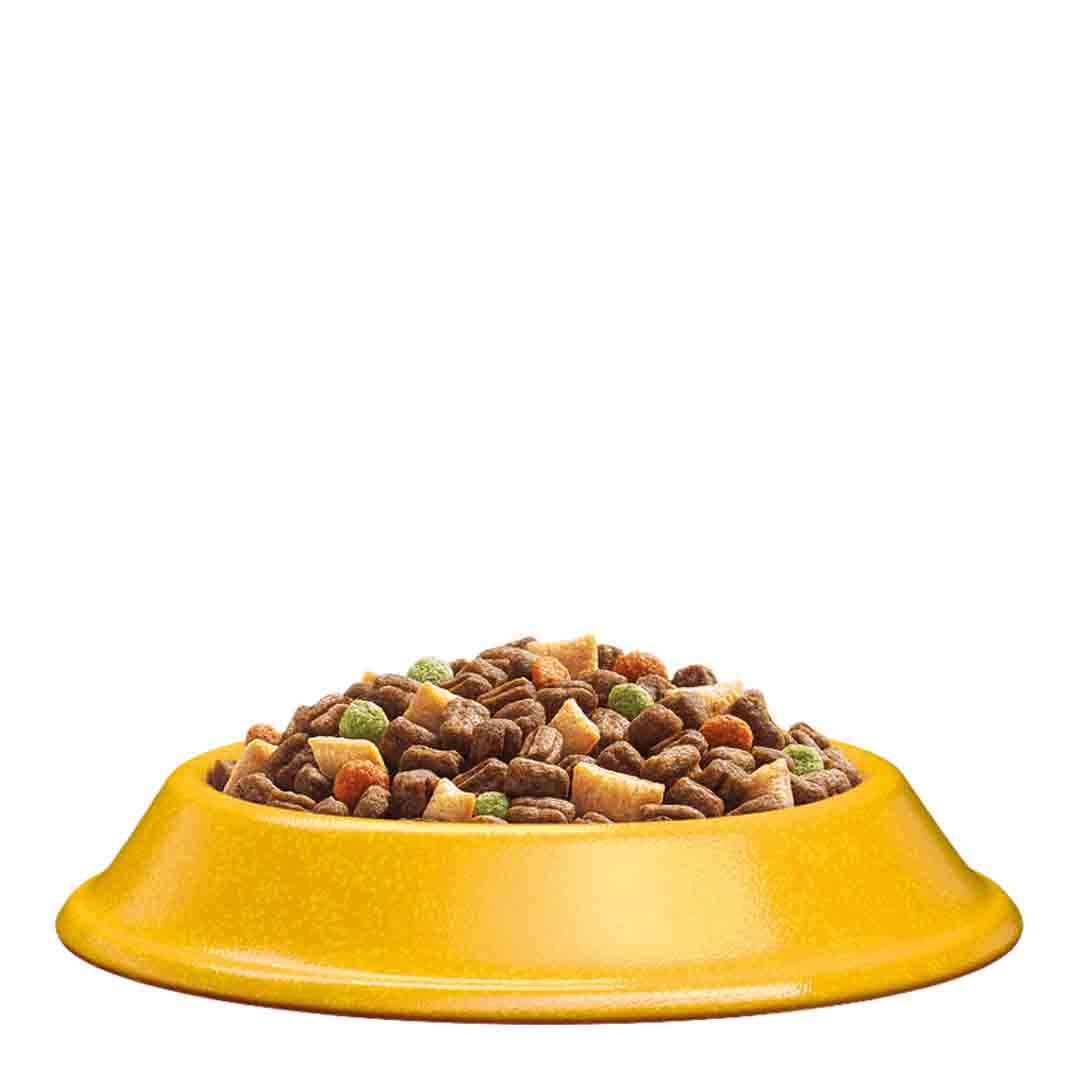 Whiskas Adult Dry Cat Food with Chicken, 1.9kg