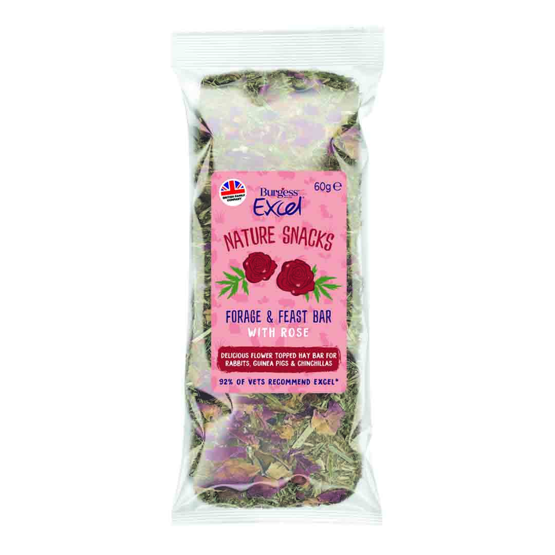 Burgess Excel Forage and Feast Hay Bar with Rose 60g