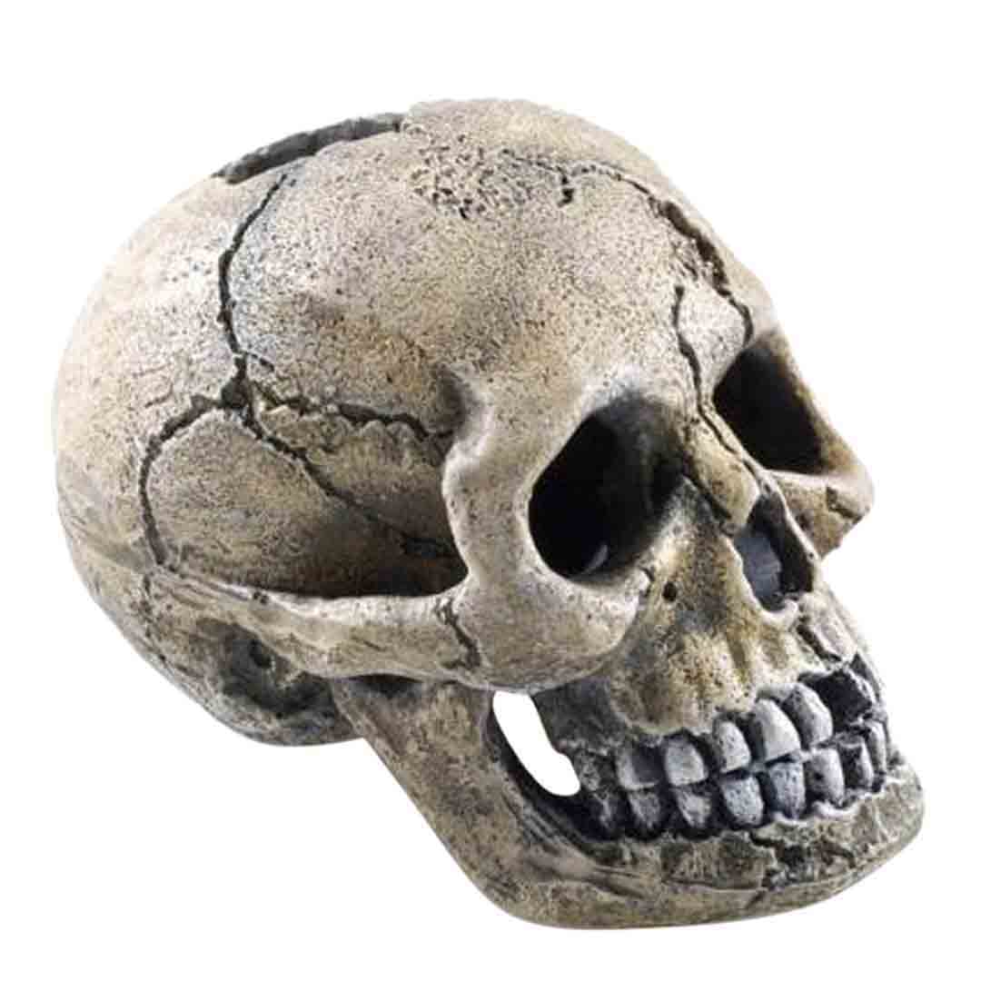 Classic Spooky Skull Aquarium Decoration