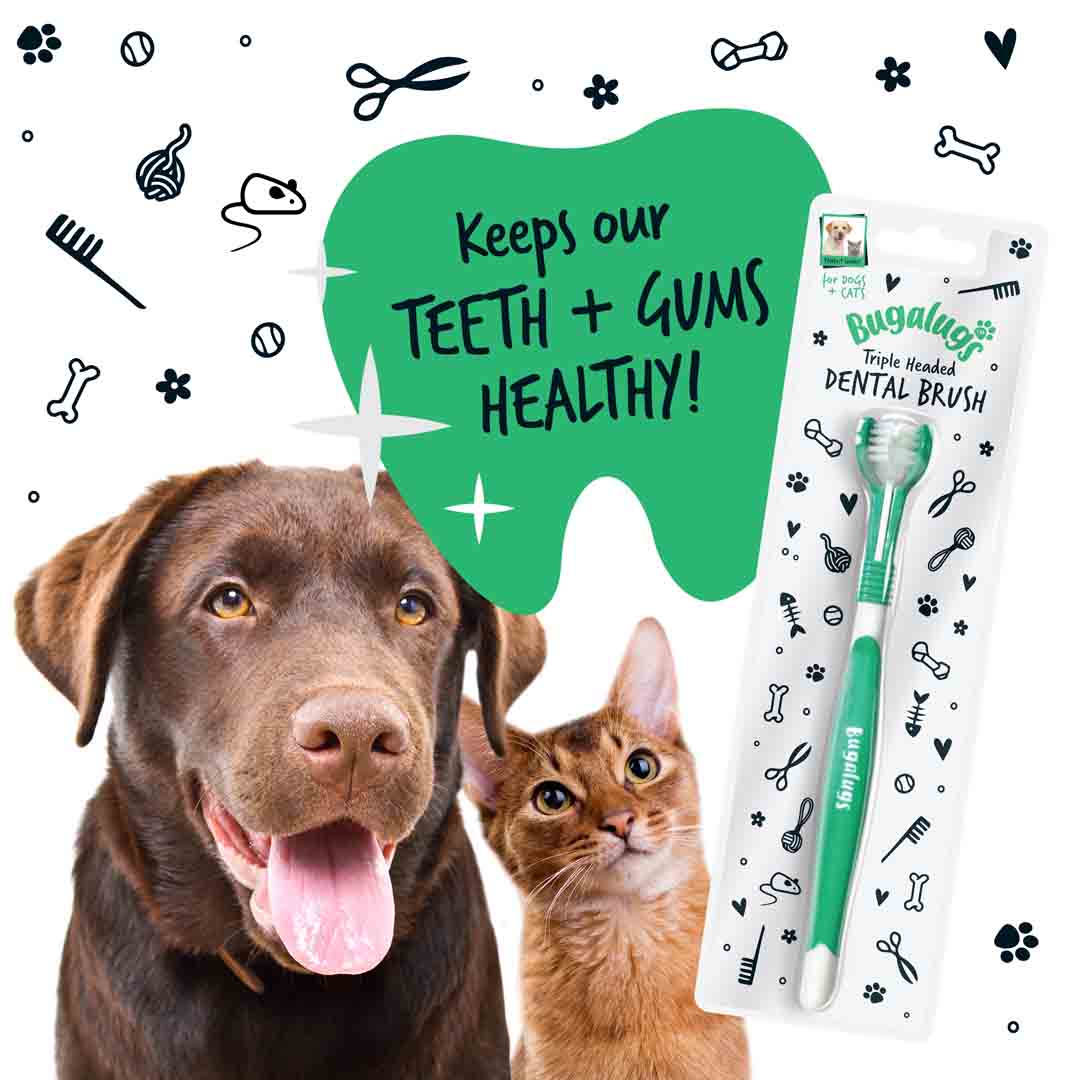 Bugalugs Triple Headed Toothbrush for Dogs