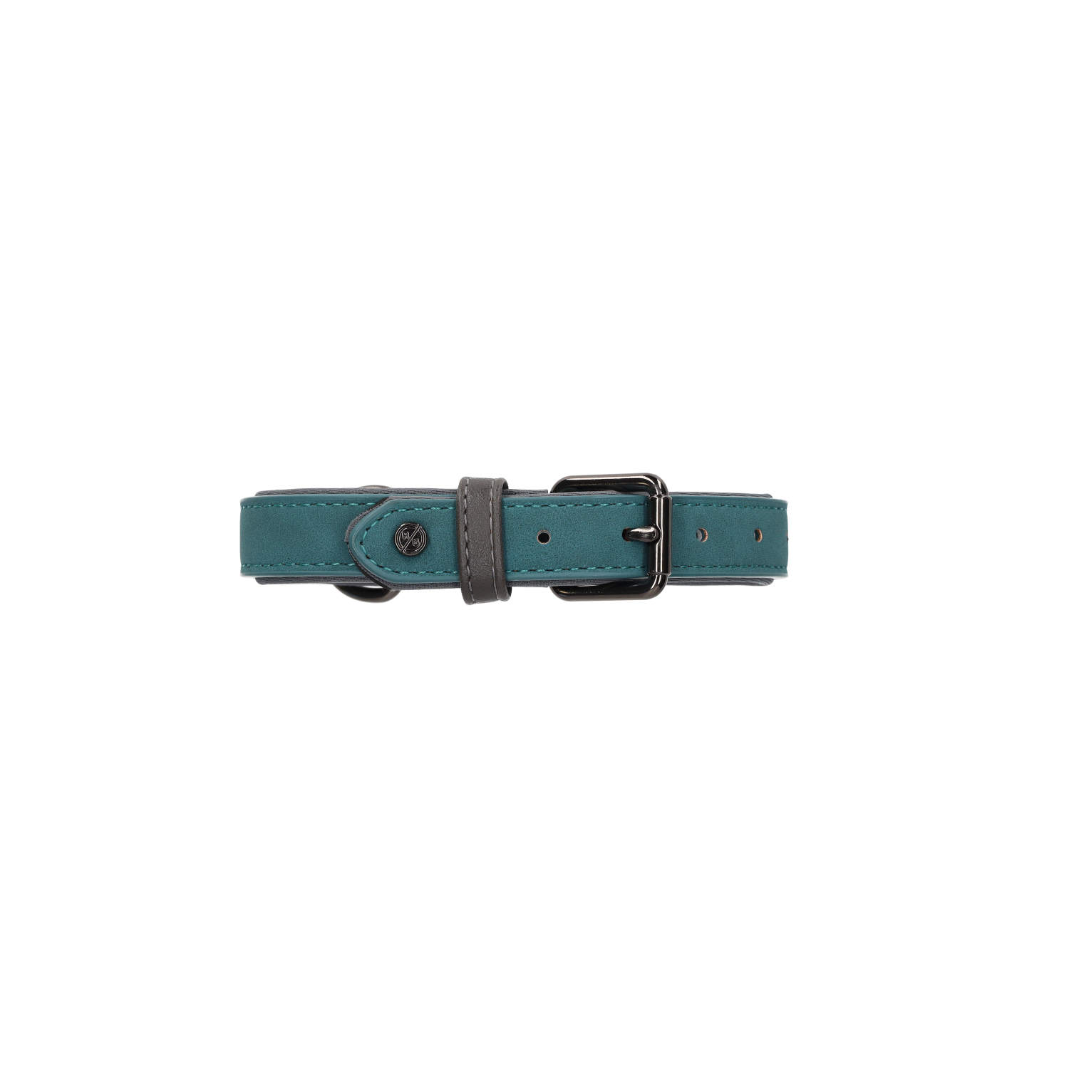 Rufus & Rosie Sotnos Brights Tech Small Dog Collar, Teal