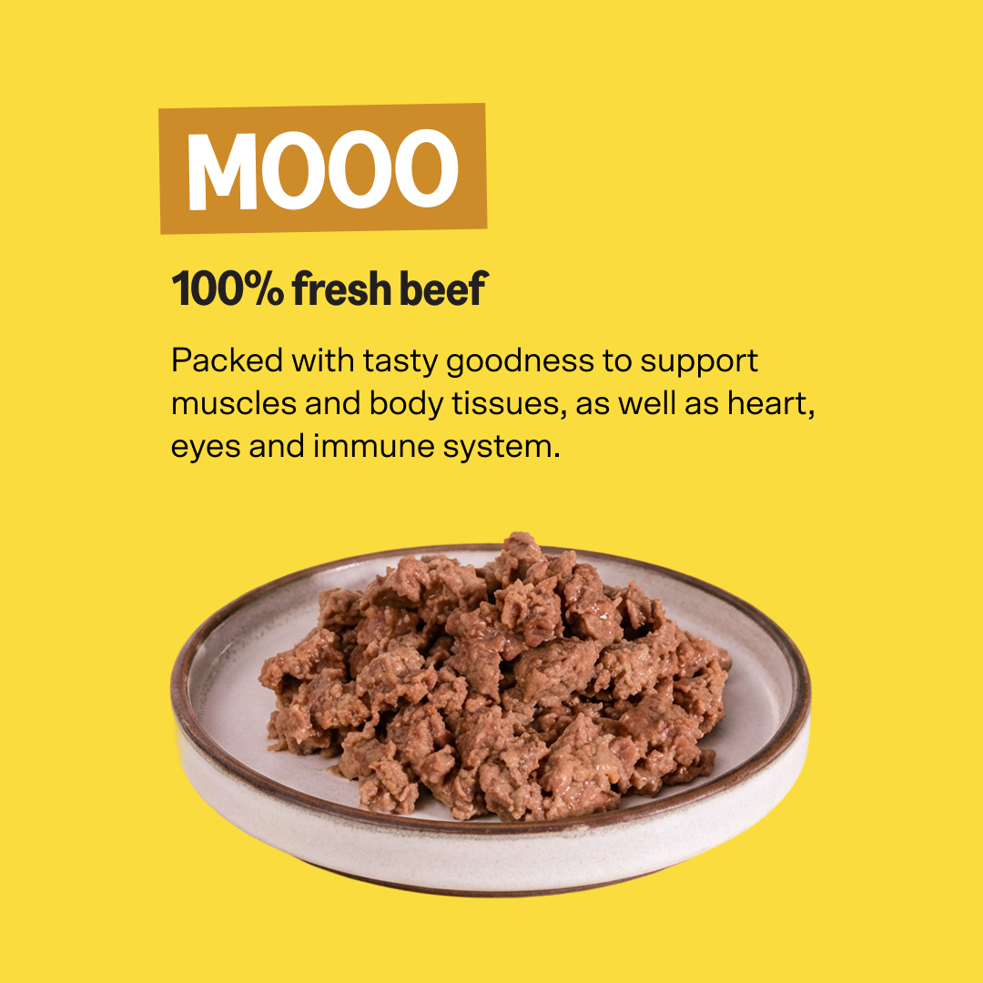 KatKin MOOO Fresh Cat and Kitten Food (Beef) 1x80g