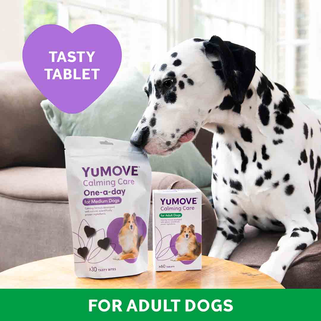 Yumove Calming Care Supplement for Adult Dogs, 60 Tablets