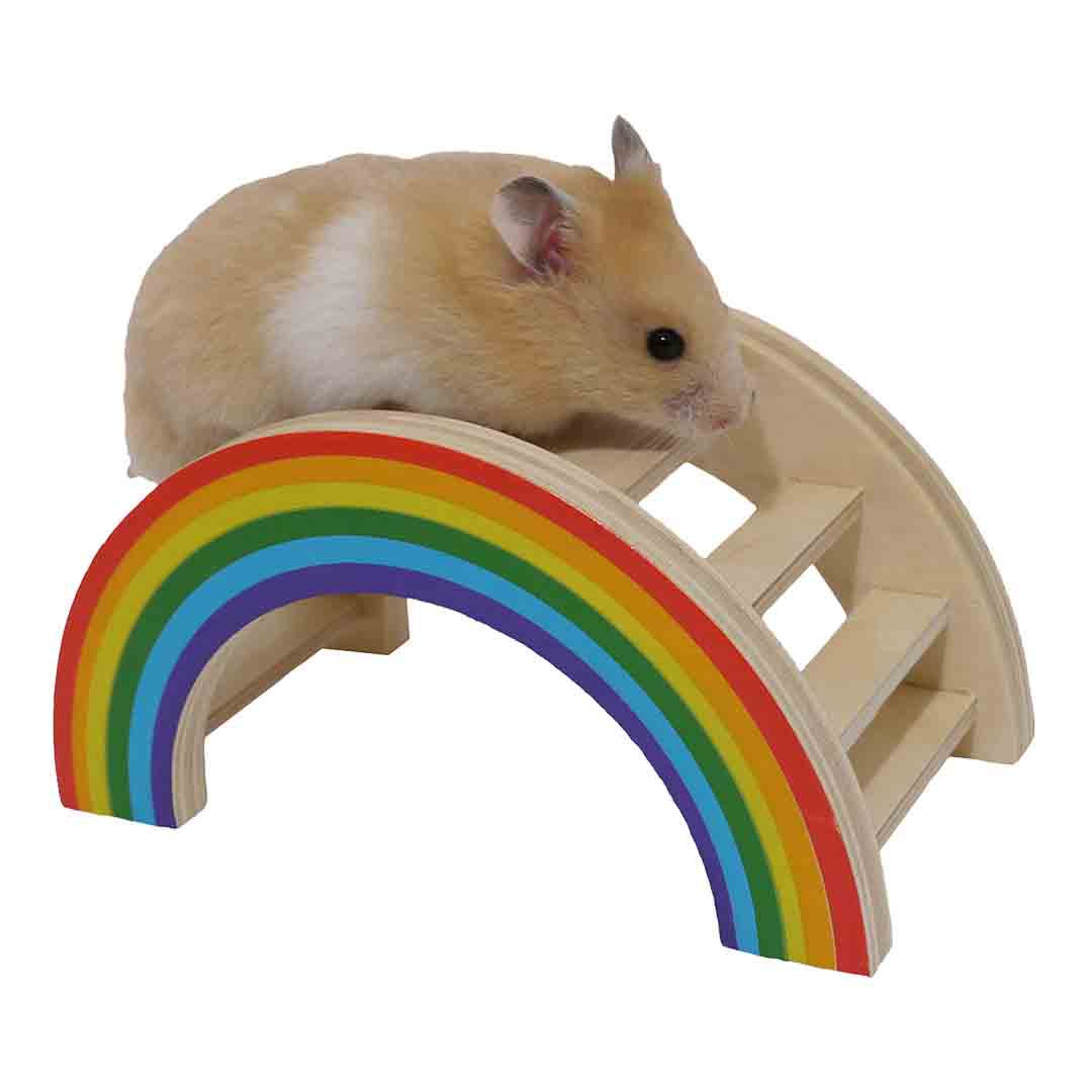 Boredom Breaker Small Rainbow Play Bridge