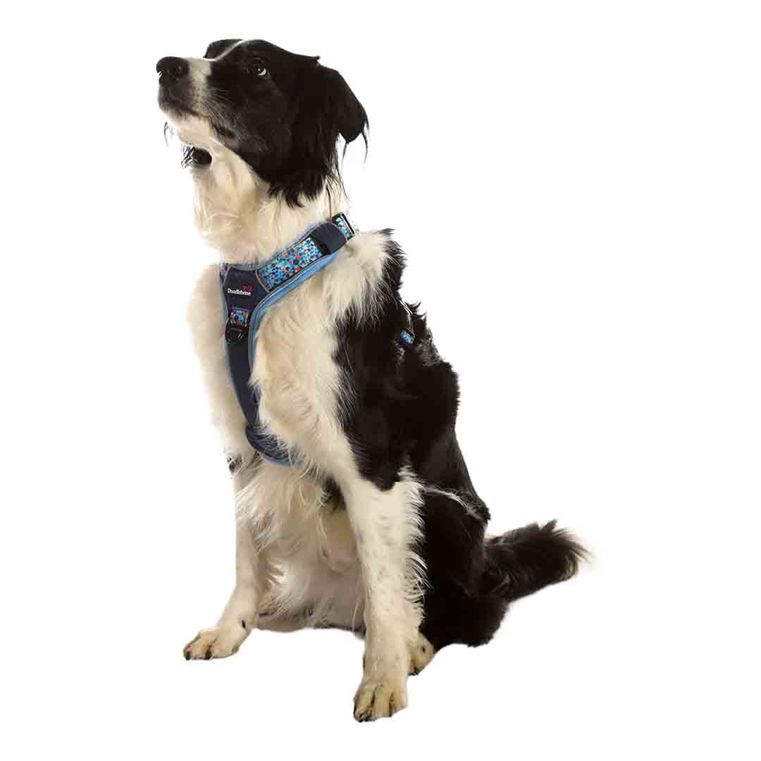 Doodlebone 'With Me' Dog Harness Blue 2-4