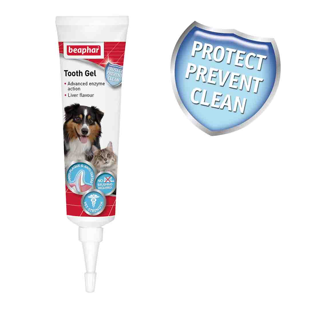 Beaphar Non-Brush Advanced Toothgel for Dogs and Cats, 100g