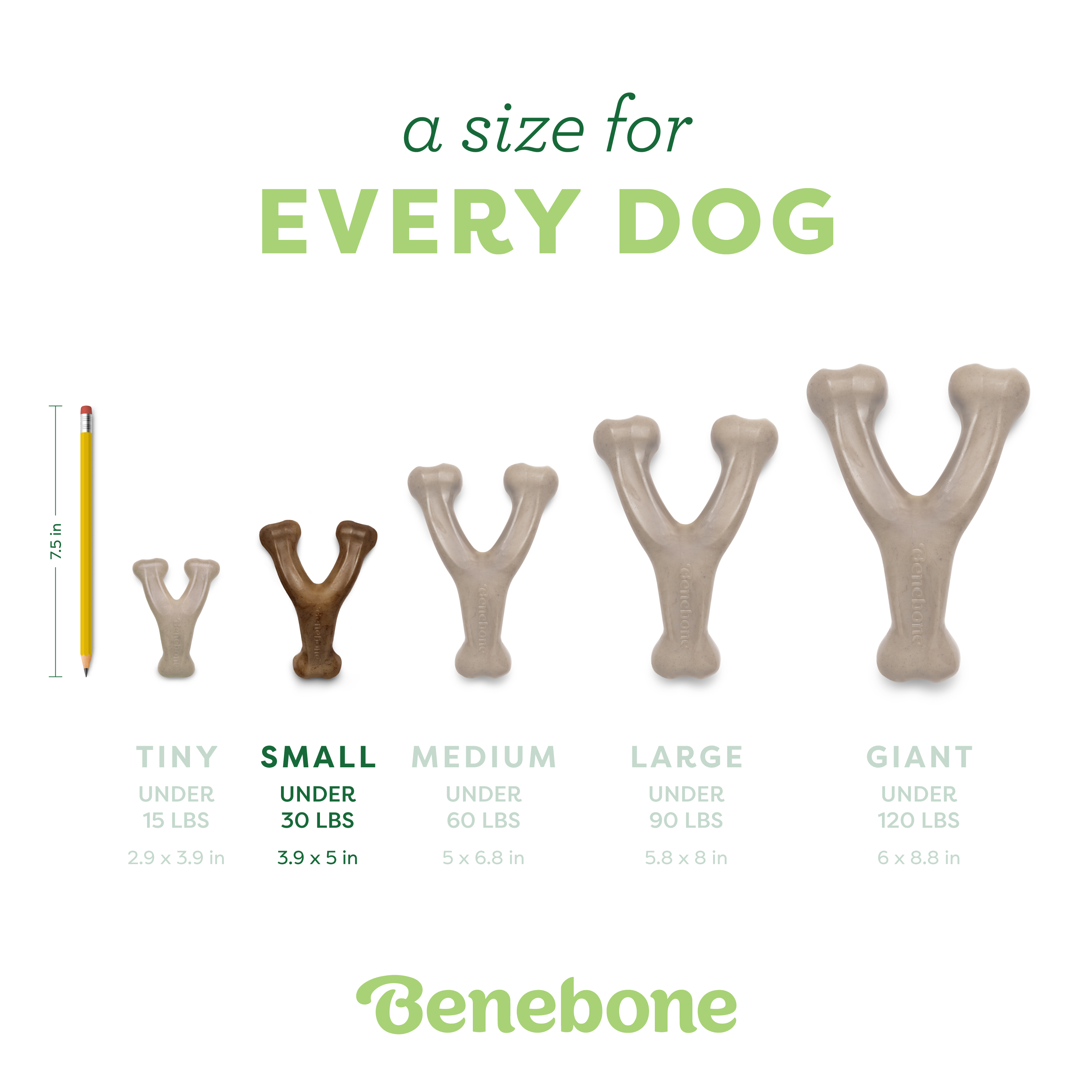 Benebone Wishbone Bacon Dog Toy Small