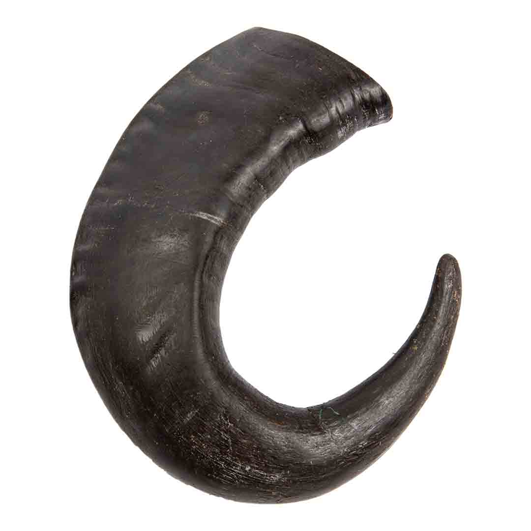 Naw Horn Jumbo Dog Chew