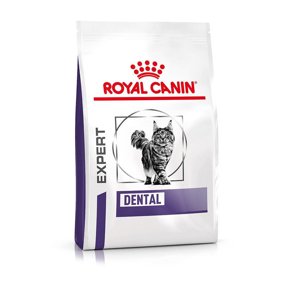 Royal Canin Dental Adult Dry Cat Food 3kg