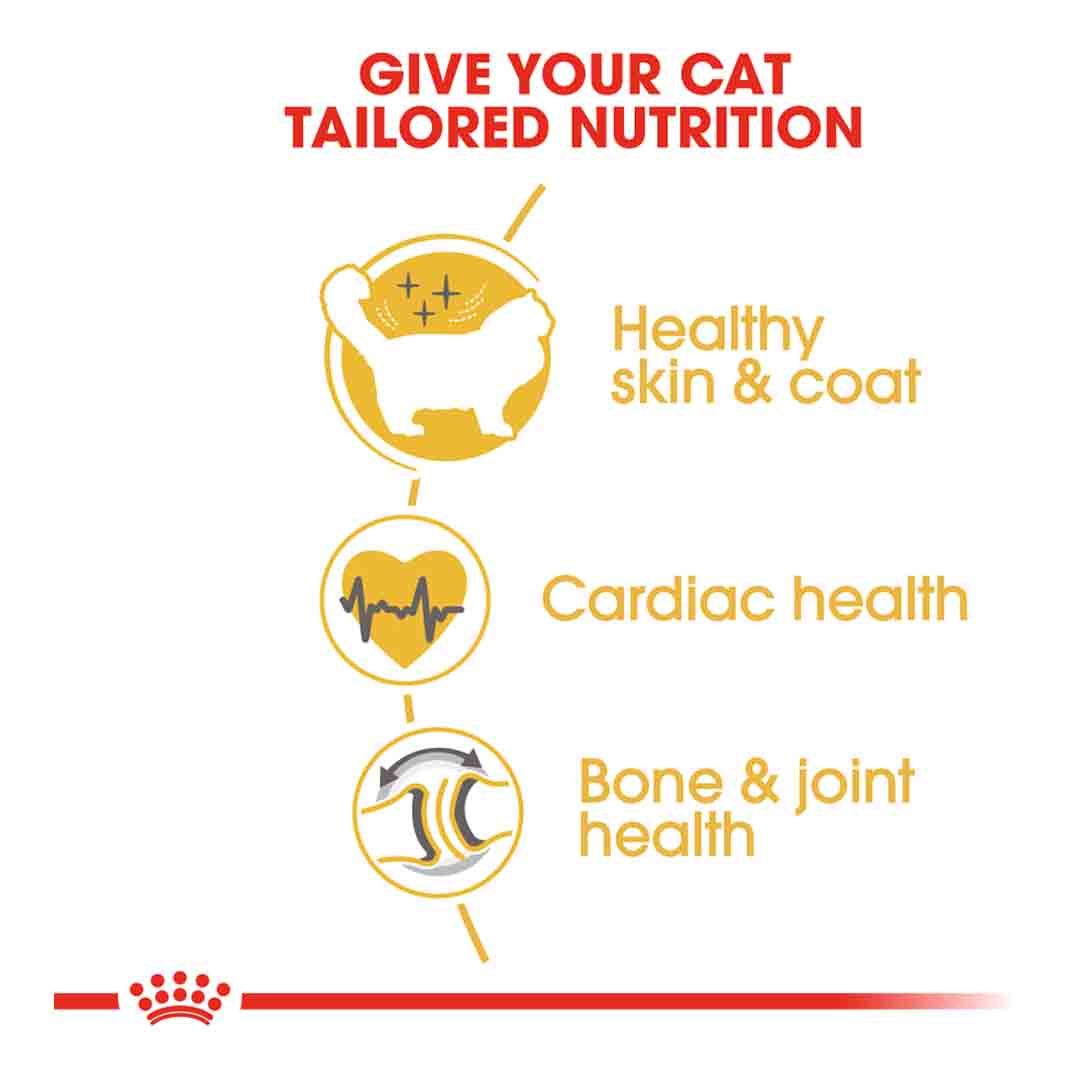 Royal Canin Ragdoll Dry Cat Food, 2kg