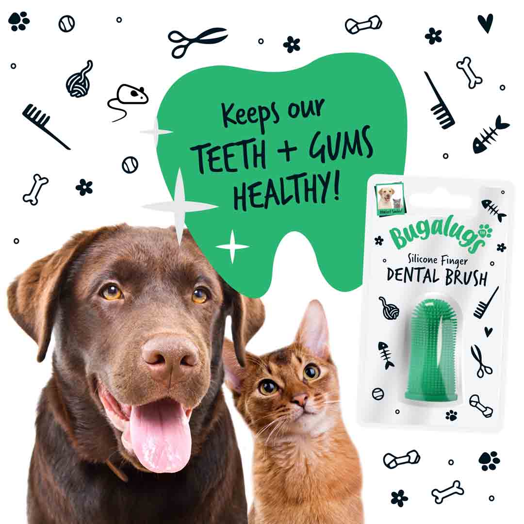 Bugalugs Dog Silicone Finger Dental Brush