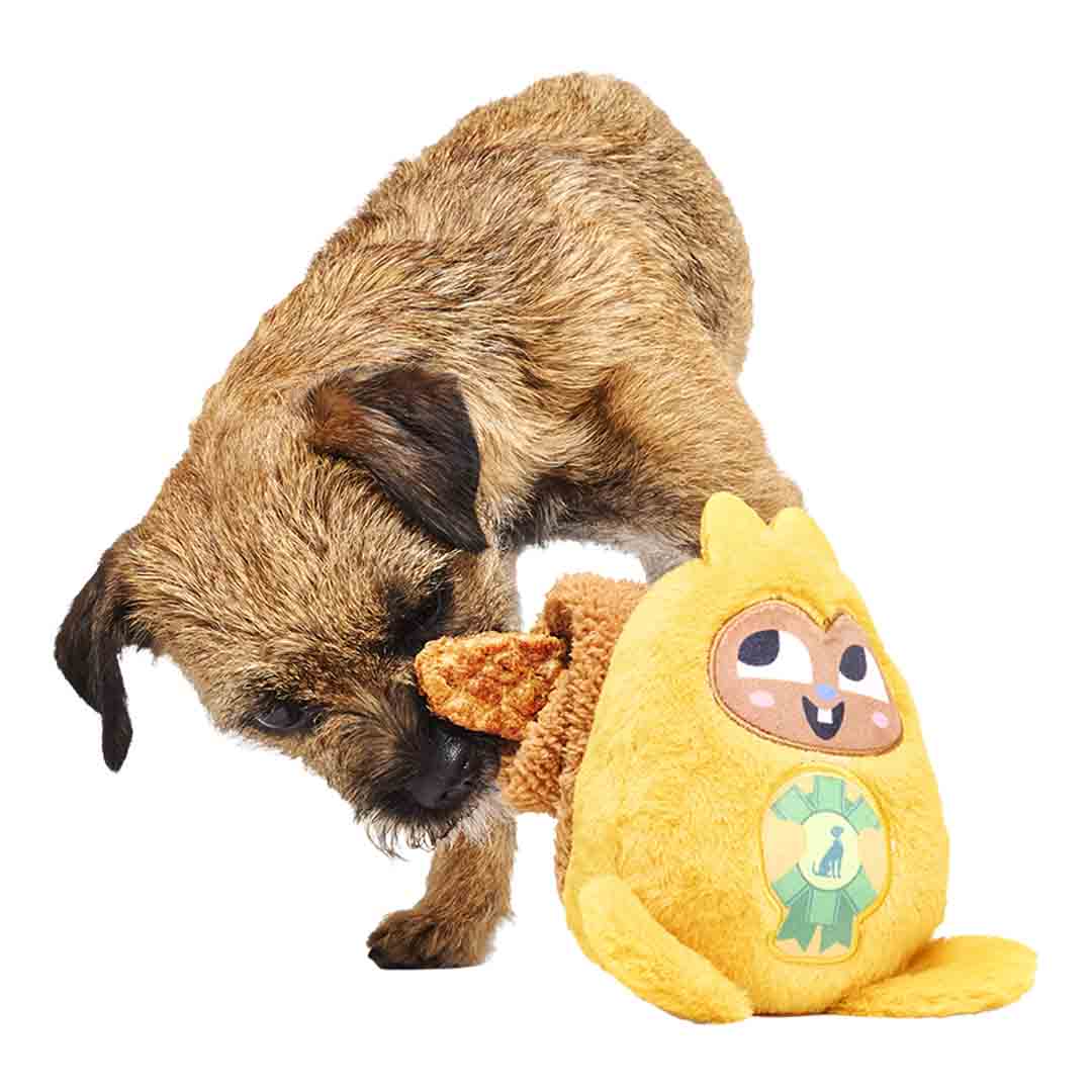 Bark Best In Throw Judge Dog Toy