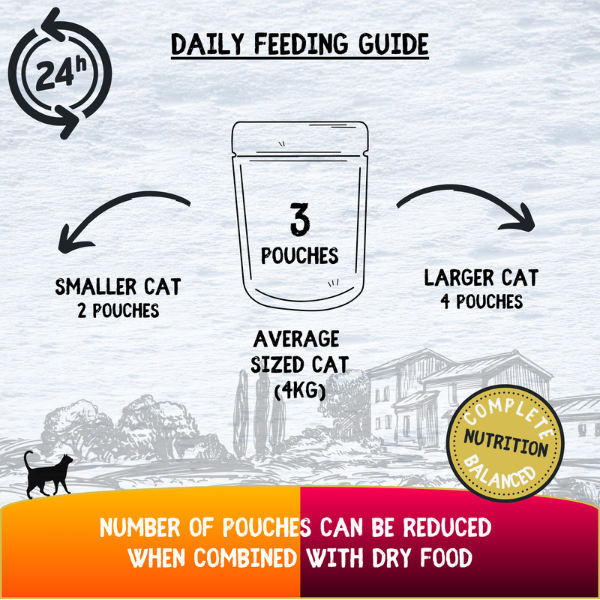 Cookhouse Luxury Complete Cat Food Chicken Breast Fillets in Jelly Multipack 6x70g