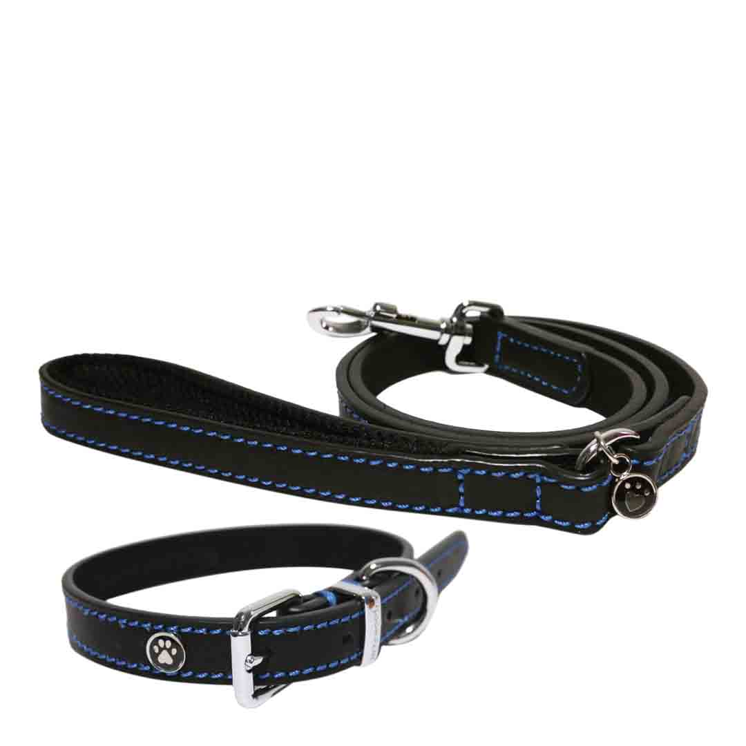 Rosewood Premium Black Leather Dog Collar, Medium