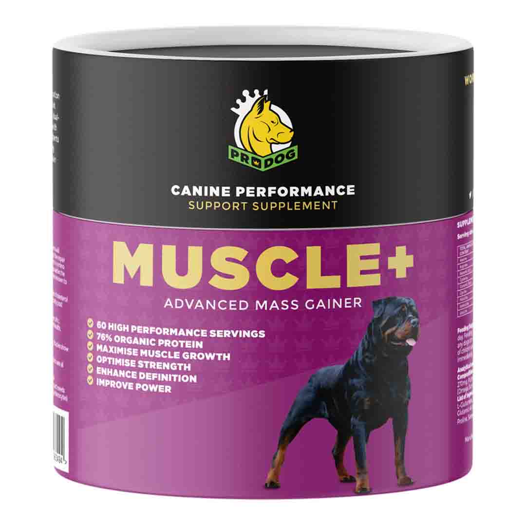 ProDog Raw Muscle & Advanced Mass Gainer 300g