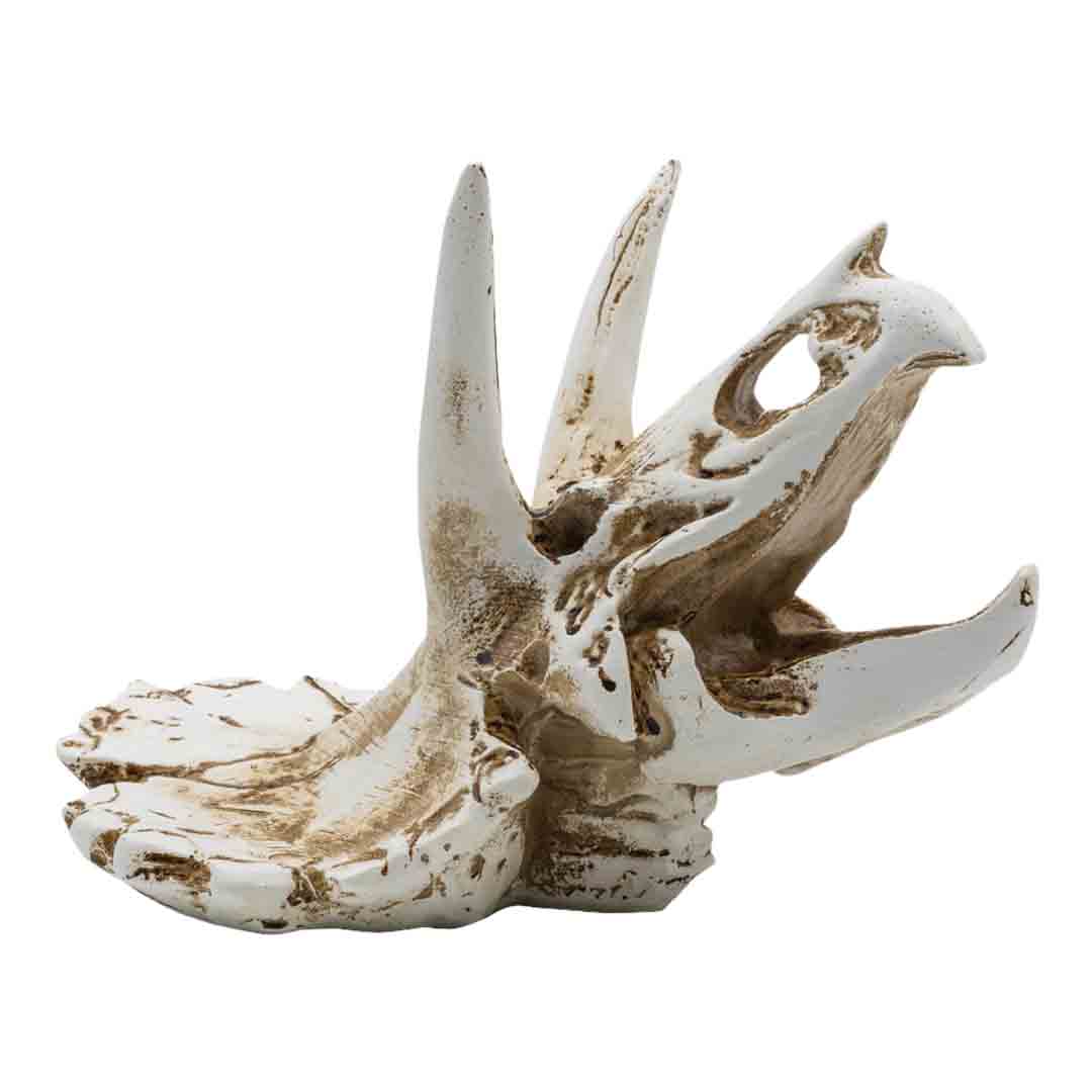 ProRep Triceratops Skull Reptile Terrarium Decoration