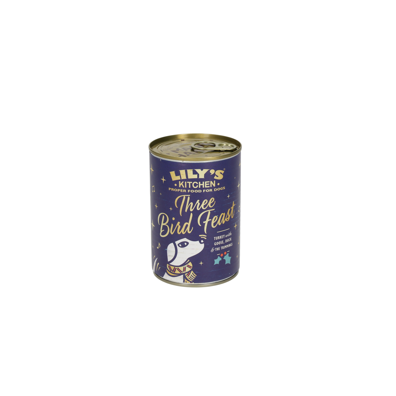 Lily's Kitchen Christmas Complete Adult Dog Food Three Bird Feast 400g
