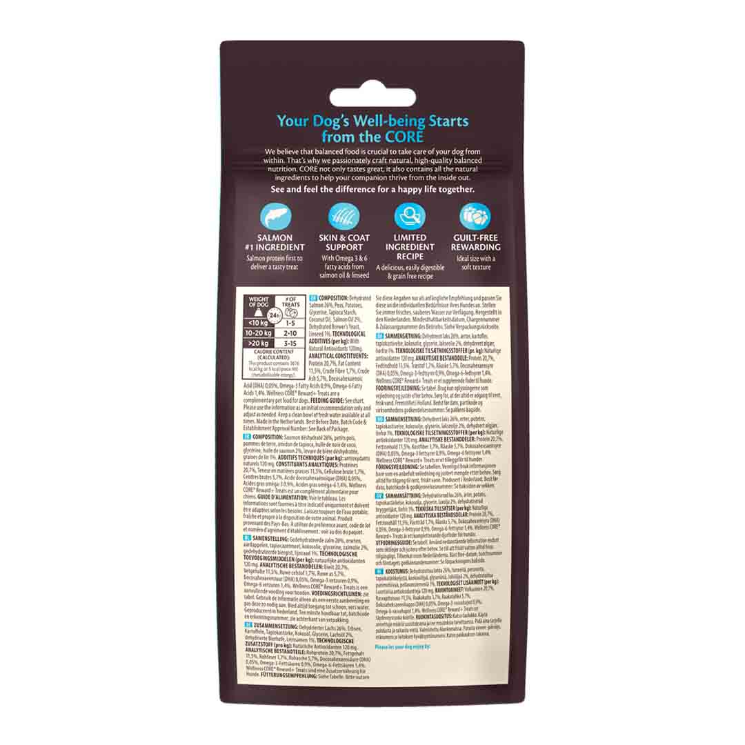 Wellness CORE Reward Skin & Coat Salmon Dog Treats
